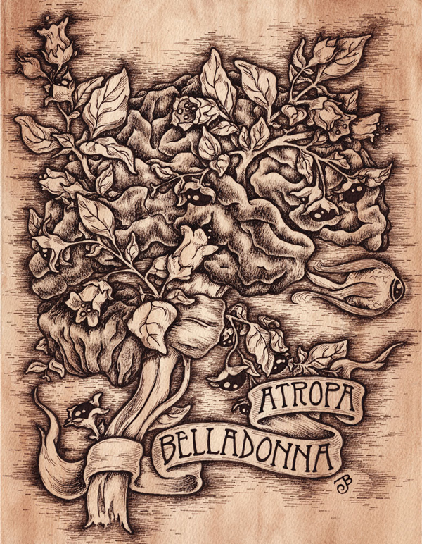 Atropa Belladonna